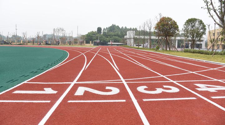 苏坡小学